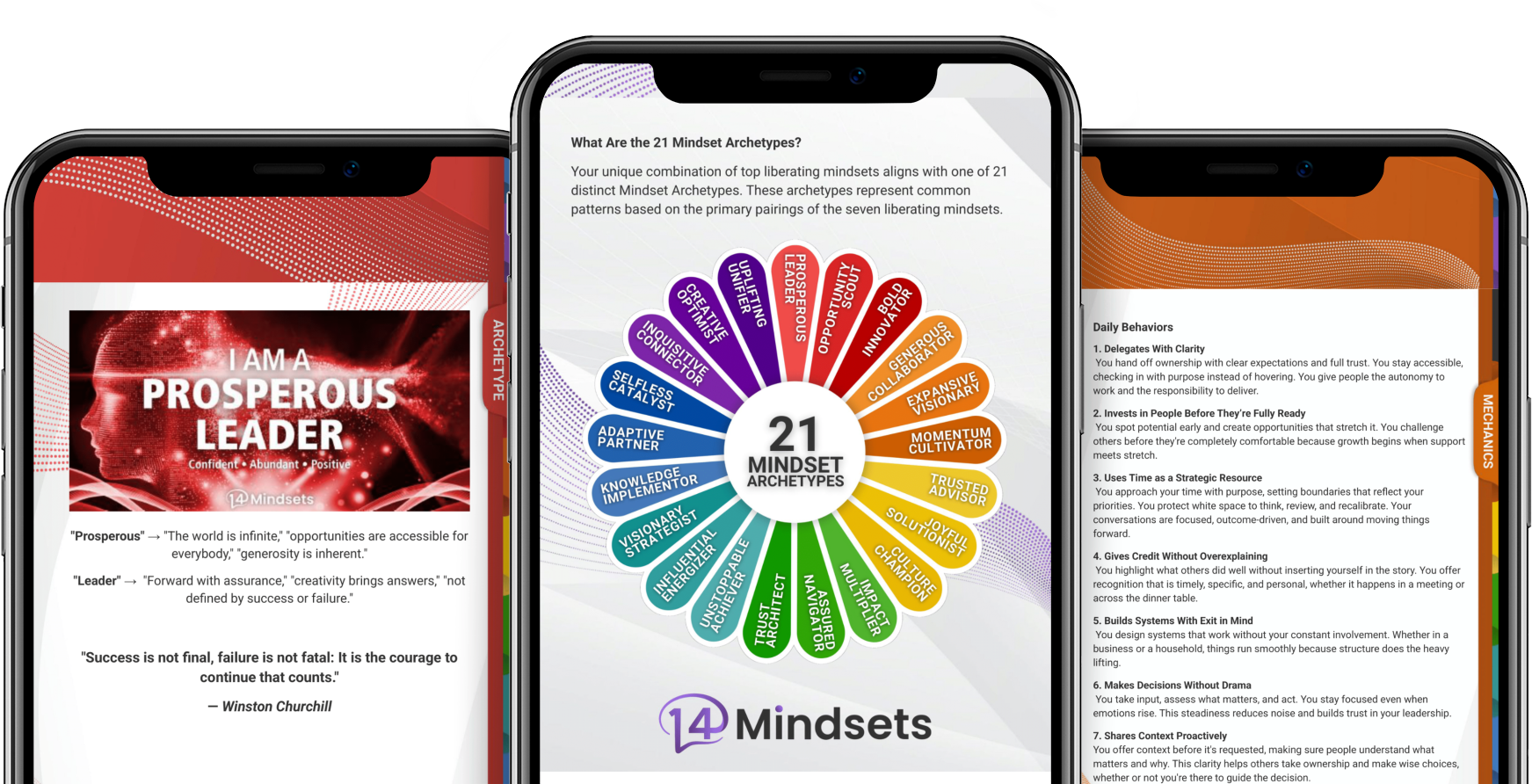 14Mindsets assessment interface and results