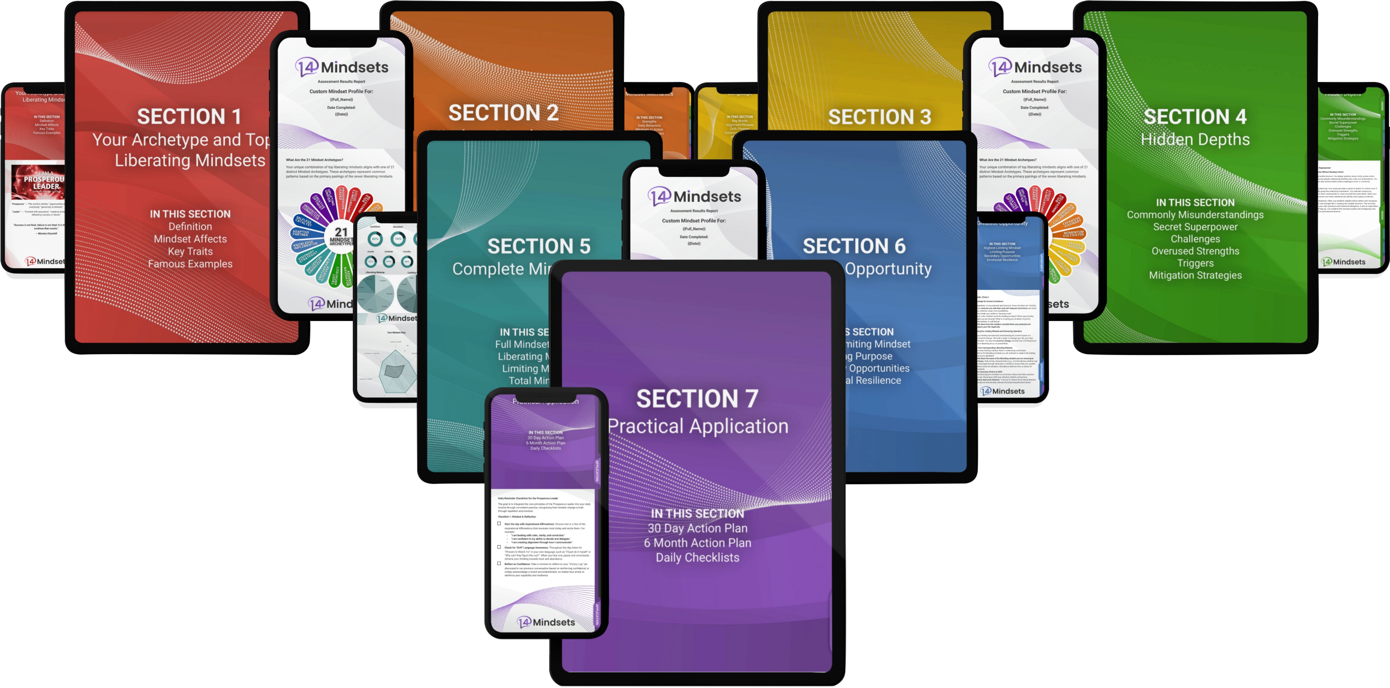14Mindsets Platinum Package Report with all sections, including a section on practical application.