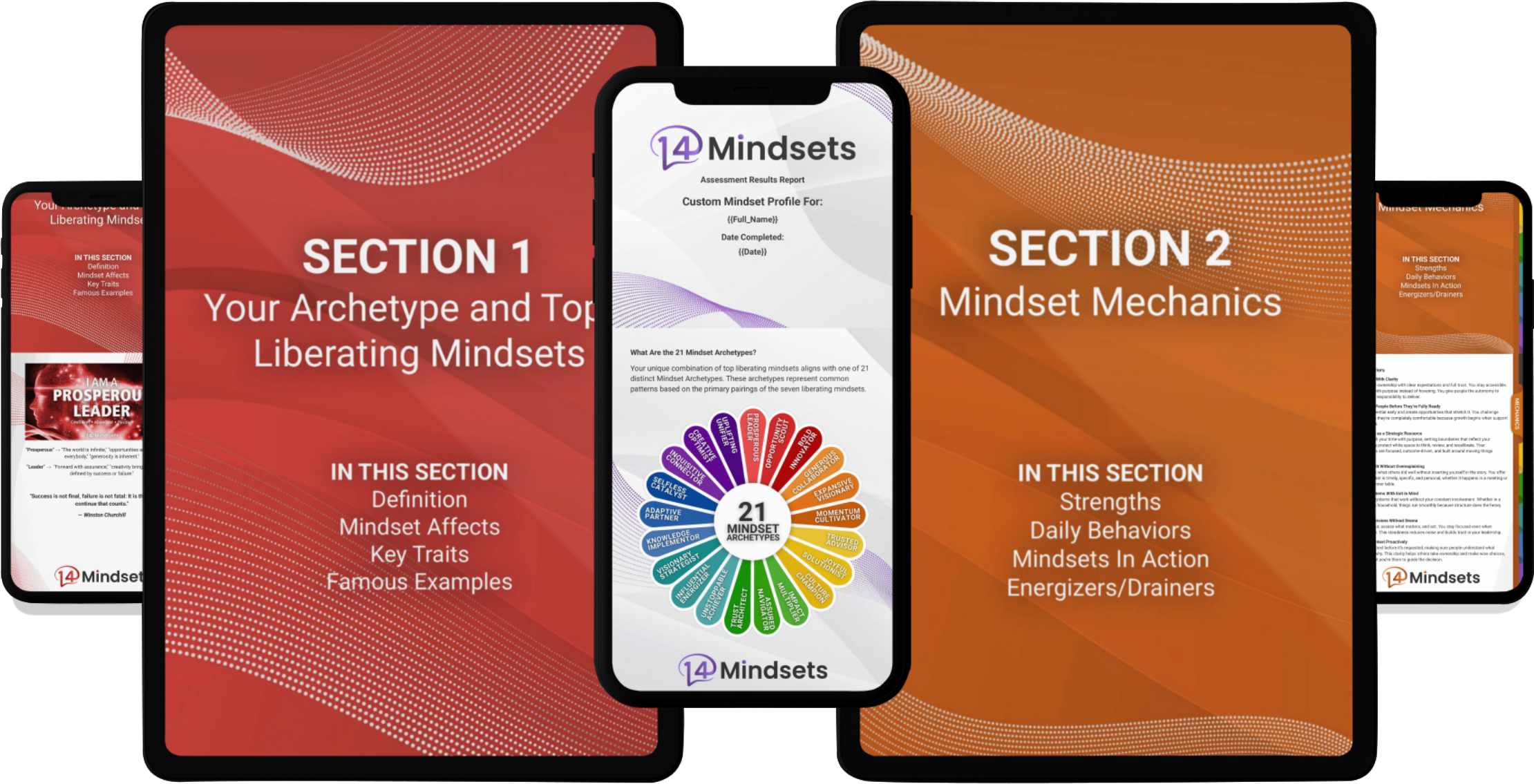14Mindsets Basic Package Report showing sections on mindset archetype and mechanics.